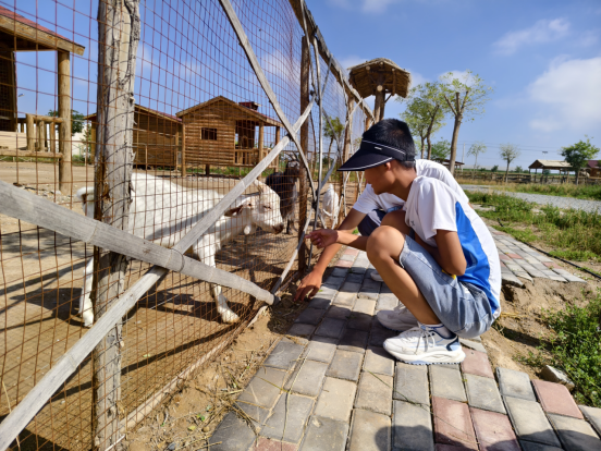 yd2333云顶电子游戏(中国)有限公司